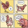 anonymous_chicken